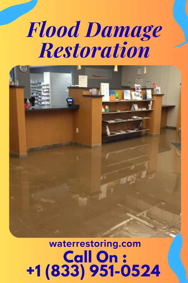 Flood Damage Restoration in Houston Lake, MO