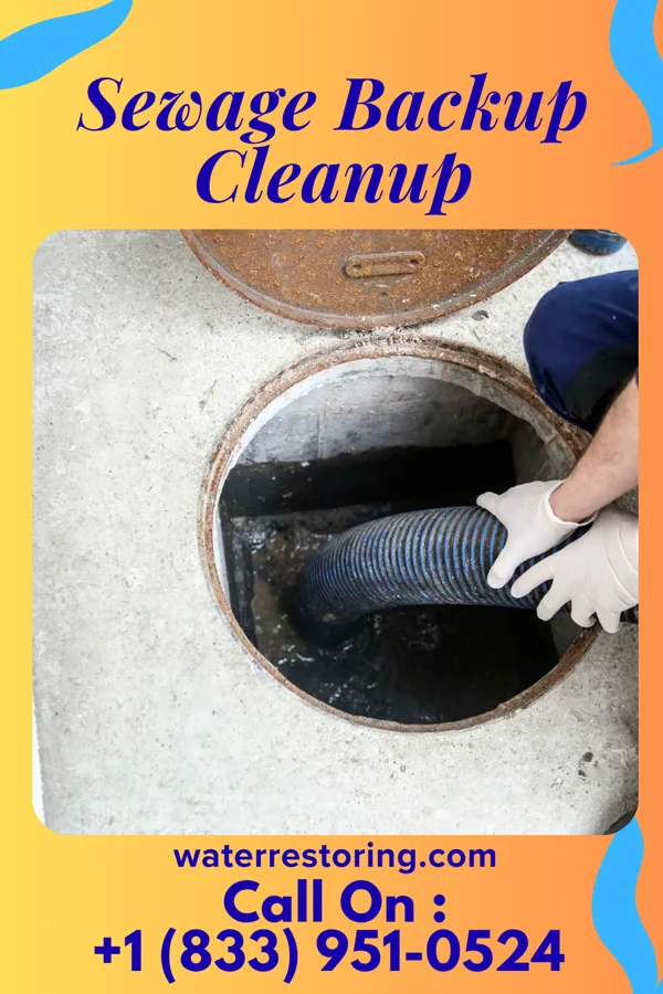 Sewage Backup Cleanup in Houston Lake, MO