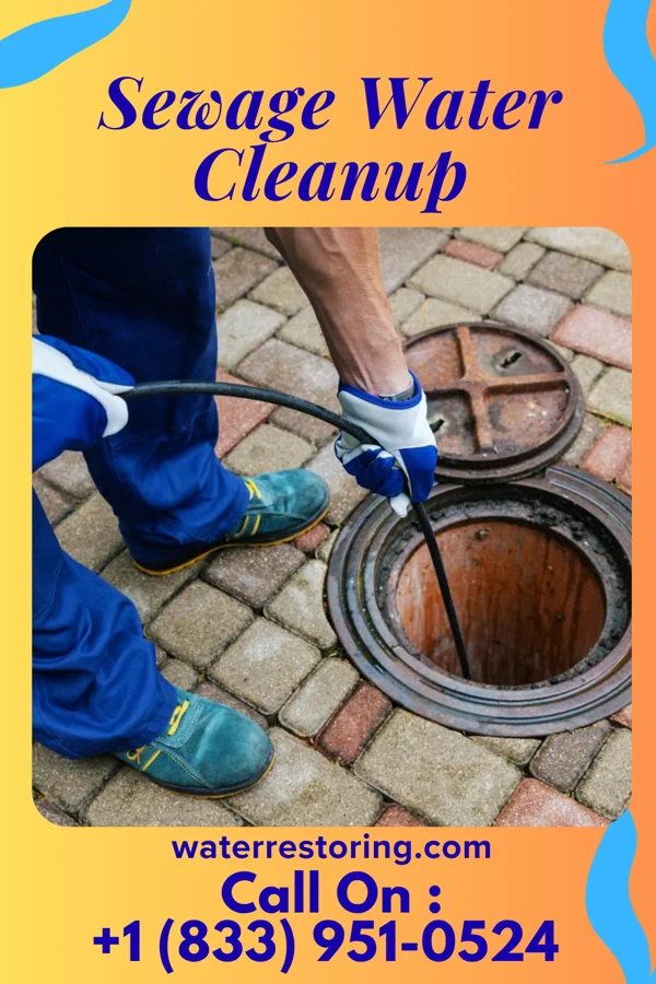 Sewage Water Cleanup in Houston Lake, MO