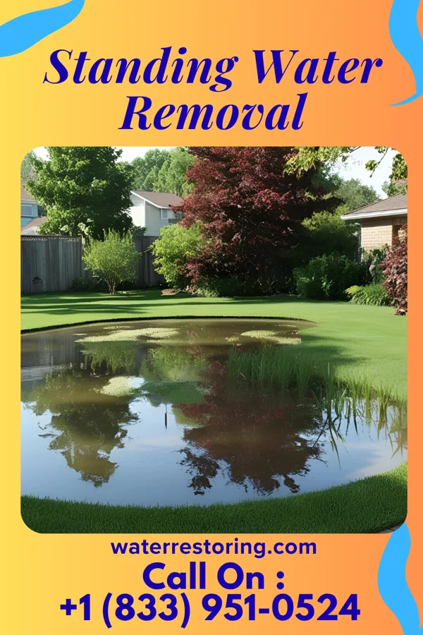 Standing Water Removal in Houston Lake, MO